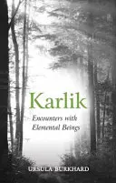 Karikatura: Karikatura a praxe v České republice: Karlik: Setkání s elementárními bytostmi - Karlik: Encounters with Elemental Beings