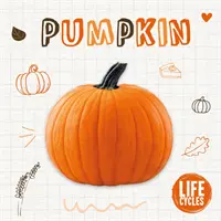 Dýně - Pumpkin