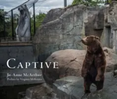 V zajetí - Captive