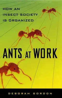 Mravenci v práci: Jak je organizována hmyzí společnost - Ants at Work: How an Insect Society Is Organized