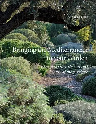Přinášíme Středomoří do vaší zahrady: Jak zachytit přirozenou krásu středomořské garrigue - Bringing the Mediterranean Into Your Garden: How to Capture the Natural Beauty of the Mediterranean Garrigue