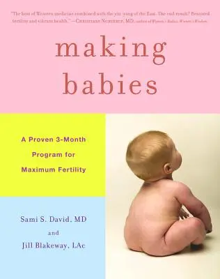 Dělání dětí: Osvědčený tříměsíční program pro maximální plodnost - Making Babies: A Proven 3-Month Program for Maximum Fertility