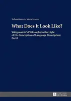 Jak to vypadá?; Wittgensteinova filozofie ve světle jeho pojetí popisu jazyka: Část I - What Does It Look Like?; Wittgenstein's Philosophy in the Light of His Conception of Language Description: Part I
