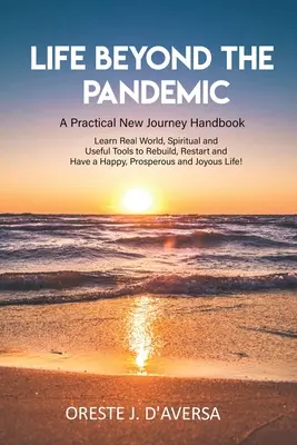 Život za hranicemi pandemie: Praktická příručka pro novou cestu - Life Beyond the Pandemic: A Practical New Journey Handbook