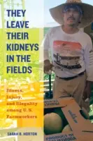 Nechávají ledviny na poli, 40: Nemoci, zranění a nezákonnost mezi zemědělskými dělníky v USA - They Leave Their Kidneys in the Fields, 40: Illness, Injury, and Illegality Among U.S. Farmworkers
