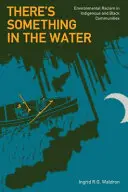 Něco je ve vodě: Environmentální rasismus v domorodých a černošských komunitách - There's Something in the Water: Environmental Racism in Indigenous & Black Communities