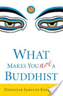 Co z vás nedělá buddhistu - What Makes You Not a Buddhist