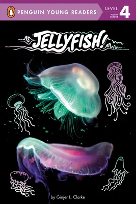 Medúzy! - Jellyfish!