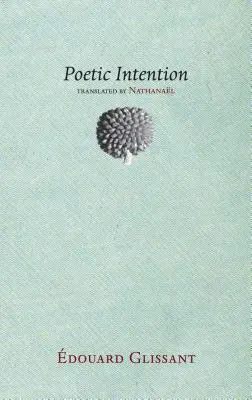 Poetický záměr - Poetic Intention