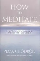 Jak meditovat: Praktický průvodce, jak se spřátelit se svou myslí - How to Meditate: A Practical Guide to Making Friends with Your Mind