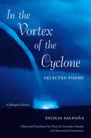 Ve víru cyklonu: Ve víru cyklonu: Vybrané básně - In the Vortex of the Cyclone: Selected Poems