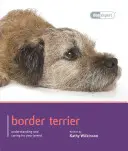 Border teriér - Border Terrier