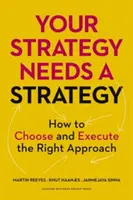 Vaše strategie potřebuje strategii: Jak zvolit a realizovat správný přístup: Strategie: Jak zvolit a realizovat správný přístup? - Your Strategy Needs a Strategy: How to Choose and Execute the Right Approach
