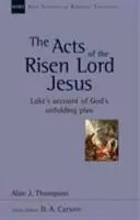 Skutky zmrtvýchvstalého Pána Ježíše - Lukášovo vyprávění o uskutečňování Božího plánu - Acts of the Risen Lord Jesus - Luke'S Account Of God'S Unfolding Plan