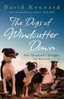 Psi z Windcutter Down - Dogs of Windcutter Down