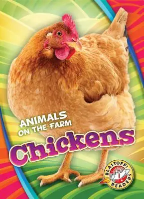 Kuřata - Chickens