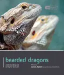 Vousatý drak - Bearded Dragon