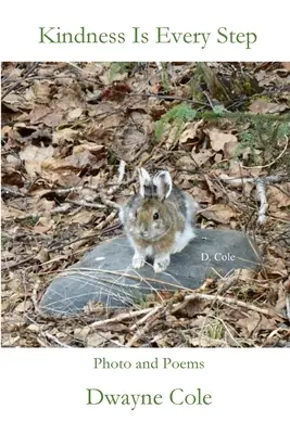 Laskavost je na každém kroku - Kindness Is Every Step