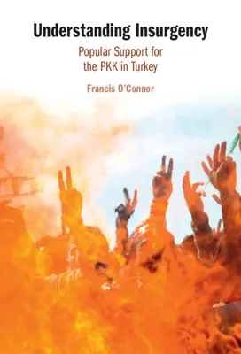 Porozumění povstání - Understanding Insurgency