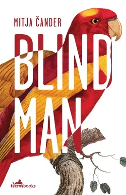 Slepý muž - Blind Man