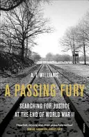 Pomíjivé běsnění: Hledání spravedlnosti na konci druhé světové války - A Passing Fury: Searching for Justice at the End of World War II