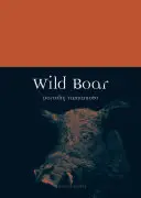 Divoká prasata - Wild Boar