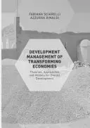 Řízení rozvoje transformujících se ekonomik: Teorie, přístupy a modely pro celkový rozvoj transformujících se ekonomik. - Development Management of Transforming Economies: Theories, Approaches and Models for Overall Development