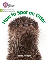 Jak poznat vydru - 4. fáze - How to Spot an Otter - Phase 4