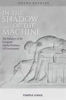 Ve stínu stroje: Předhistorie počítače a evoluce vědomí - In the Shadow of the Machine: The Prehistory of the Computer and the Evolution of Consciousness