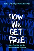 Jak se osvobodíme: Černošský feminismus a Combahee River Collective - How We Get Free: Black Feminism and the Combahee River Collective