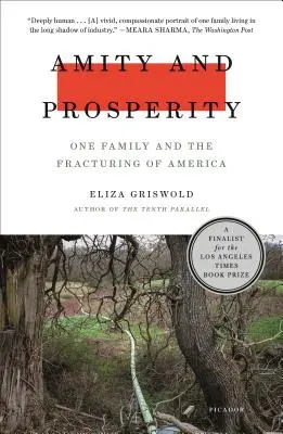 Přátelství a prosperita: Jedna rodina a štěpení Ameriky - Amity and Prosperity: One Family and the Fracturing of America