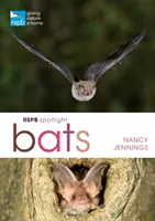 Rspb Spotlight Netopýři - Rspb Spotlight Bats
