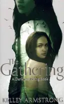 Shromáždění - kniha 1 ze série Temnota povstává - Gathering - Book 1 of the Darkness Rising Series