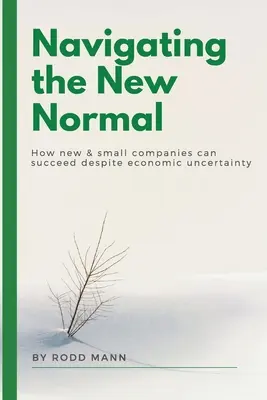Navigace v novém normálu: Jak mohou nové a malé společnosti uspět navzdory ekonomické nejistotě - Navigating the New Normal: How New & Small Companies Can Succeed Despite Economic Uncertainty