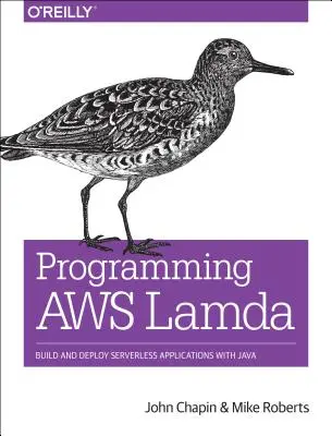 Programování Aws Lambda: Vytvářejte a nasazujte bezserverové aplikace v jazyce Java - Programming Aws Lambda: Build and Deploy Serverless Applications with Java