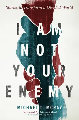 Nejsem tvůj nepřítel: Příběhy k proměně rozděleného světa - I Am Not Your Enemy: Stories to Transform a Divided World
