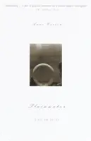 Plainwater (Prostá voda): Eseje a poezie - Plainwater: Essays and Poetry