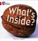 Co je uvnitř? - What's Inside?
