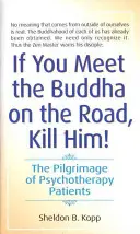 Potkáš-li na cestě Buddhu, zabij ho: Poutě psychoterapeutických pacientů. - If You Meet the Buddha on the Road, Kill Him: The Pilgrimage of Psychotherapy Patients