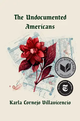 Nedokumentovaní Američané - The Undocumented Americans