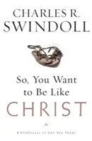 Chceš být jako Kristus?: Osm základních věcí, které tě k tomu dovedou - So, You Want to Be Like Christ?: Eight Essentials to Get You There