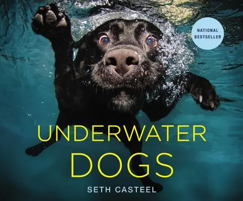 Podvodní psi - Underwater Dogs