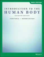 Úvod do lidského těla - Introduction to the Human Body