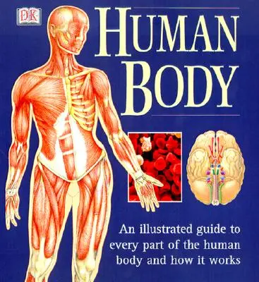 Lidské tělo: Ilustrovaný průvodce všemi částmi lidského těla a jejich fungováním - The Human Body: An Illustrated Guide to Every Part of the Human Body and How It Works