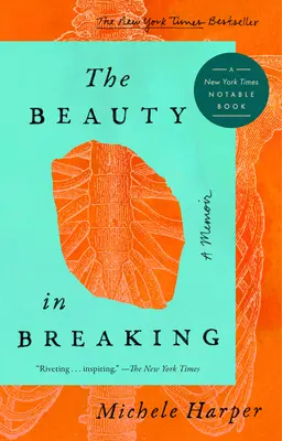 Krása v rozbití: A Memoir - The Beauty in Breaking: A Memoir
