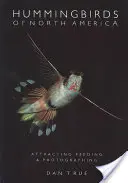 Kolibříci Severní Ameriky: Vábení, krmení a fotografování kolibříků - Hummingbirds of North America: Attracting, Feeding, and Photographing