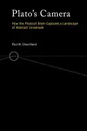 Platónova kamera: Jak fyzický mozek zachycuje krajinu abstraktních univerzálií - Plato's Camera: How the Physical Brain Captures a Landscape of Abstract Universals
