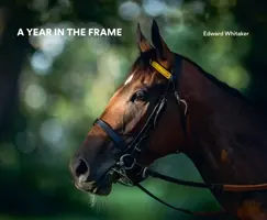 Rok v záběru - A Year in the Frame
