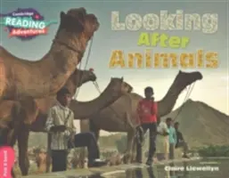 Péče o zvířata Růžové pásmo B - Looking After Animals Pink B Band