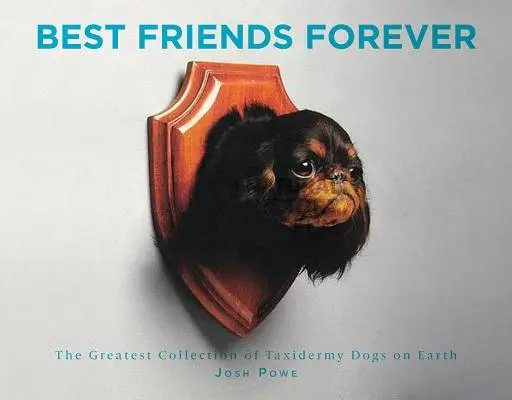 Nejlepší přátelé navždy: Největší sbírka taxidermií psů na světě - Best Friends Forever: The Greatest Collection of Taxidermy Dogs on Earth